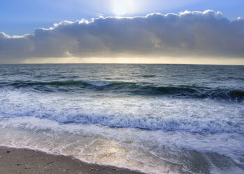 أجواء معتدلة وأمطار محتملة في توقعات طقس ديترويت لهذا الأسبوع