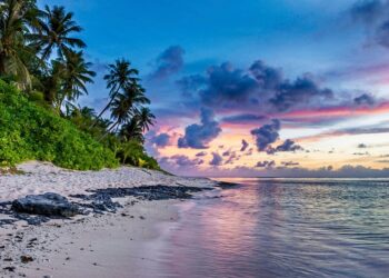 أفضل 7 مناطق شاطئية مناسبة للرحلات العائلية في الولايات المتحدة لعام 2024