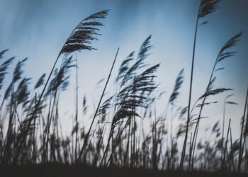 عواصف وأجواء ماطرة في توقعات طقس ديترويت لهذا الأسبوع