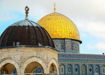 مظاهرات واحتجاجات في الجامعات الأمريكية بسبب الحرب في فلسطين وحملة قمع شرسة تمارسها الشرطة