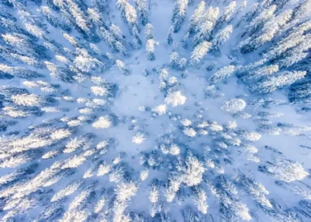 ثلوج خفيفة وأمطار في توقعات طقس ديترويت لهذا الأسبوع