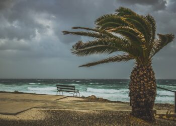 هيئة الأرصاد الجوية تحذر من الرياح العاصفة في مترو ديترويت يوم الجمعة