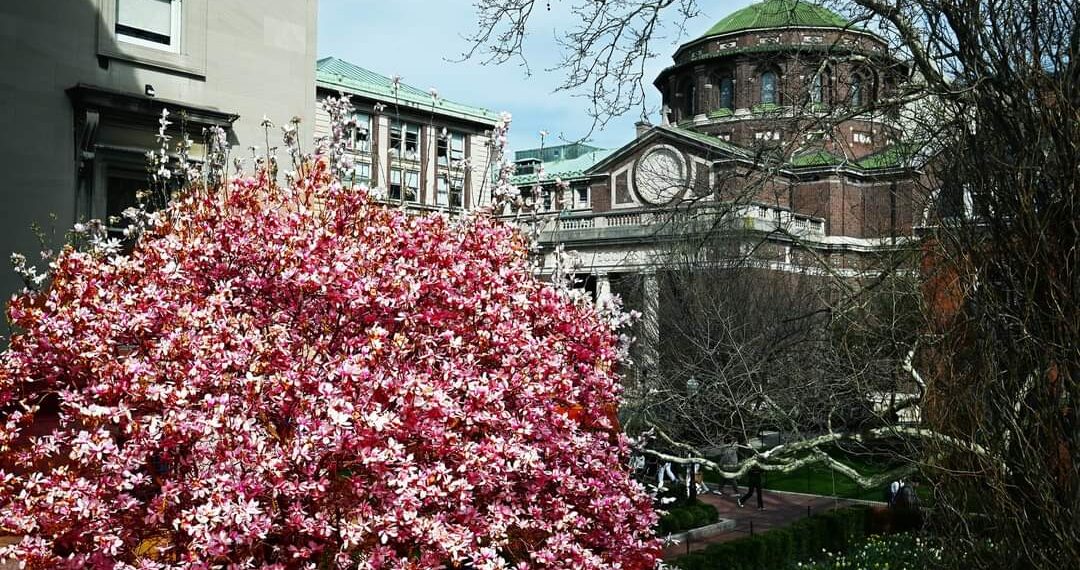 شرطة نيويورك تداهم حرم جامعة كولومبيا وتعتقل العشرات من المتظاهرين المؤيدين لفلسطين