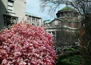 شرطة نيويورك تداهم حرم جامعة كولومبيا وتعتقل العشرات من المتظاهرين المؤيدين لفلسطين