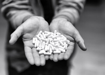 تحذيرات من المهدئ البيطري المرتبط بثلاث وفيات بجرعات زائدة في مشيغان