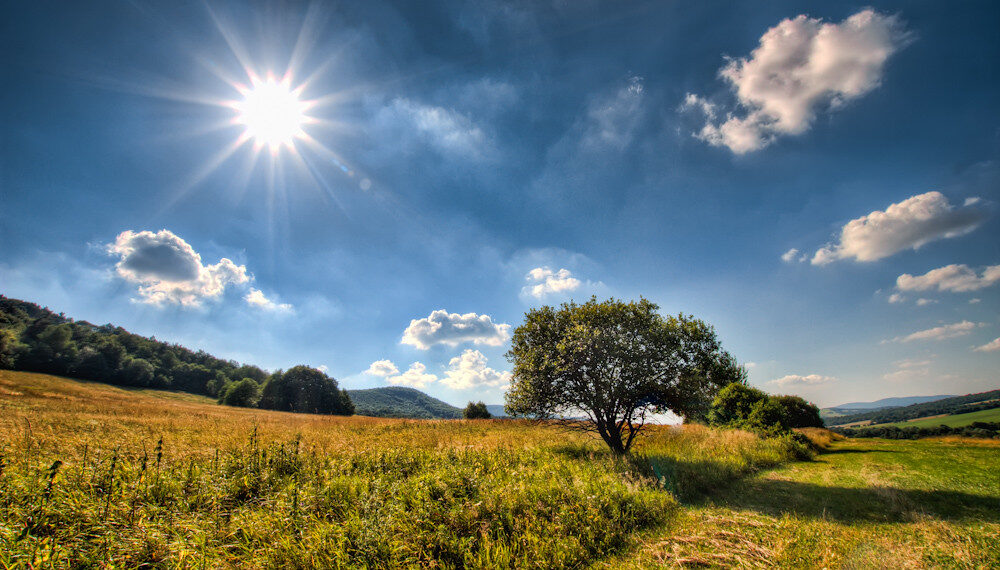 هيئة الأرصاد الجوية تحذر من درجات الحرارة المرتفعة في مترو ديترويت هذا الأسبوع