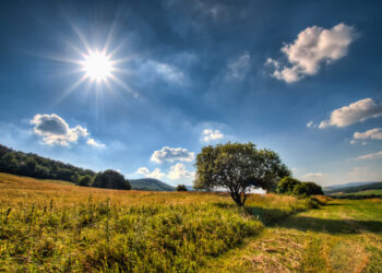 هيئة الأرصاد الجوية تحذر من درجات الحرارة المرتفعة في مترو ديترويت هذا الأسبوع