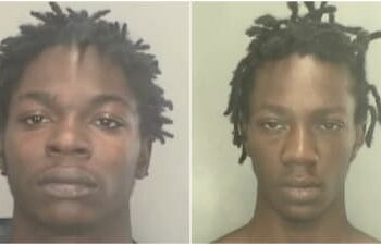 الحكم على شخصين بالتآمر لاختطاف توأم حديث الولادة من والدتهم في ليفونيا