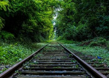 إليك أفضل 5 رحلات قطار ذات مناظر خلابة في الولايات المتحدة هذا الصيف