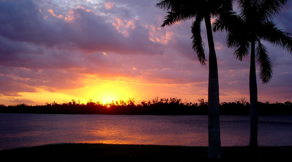 الكشف عن أفضل 10 ولايات أمريكية للذهاب في رحلة برية هذا الصيف