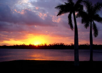 الكشف عن أفضل 10 ولايات أمريكية للذهاب في رحلة برية هذا الصيف