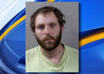 القبض على رجل من Lansing على خلفية حيازة مواد إباحية تخص الأطفال