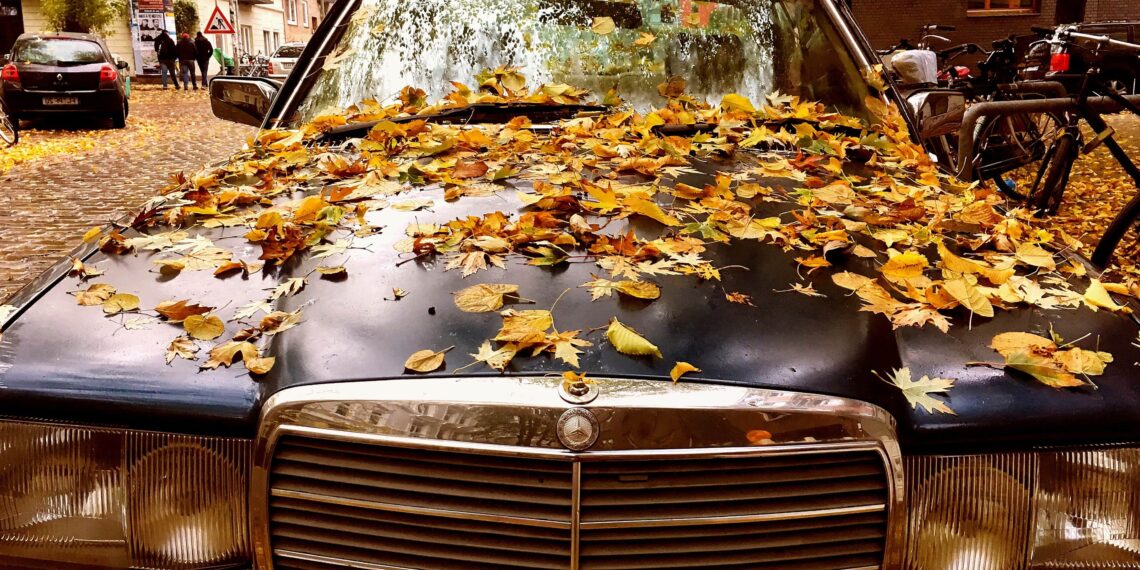 تفاصيل مهمة حول سوق السيارات المستعملة في الولايات المتحدة والوقت المناسب للشراء