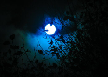 وكالة ناسا تعلن عن ظاهرة فلكية نادرة تعرف بالقمر الأزرق العملاق ستحدث قريباً