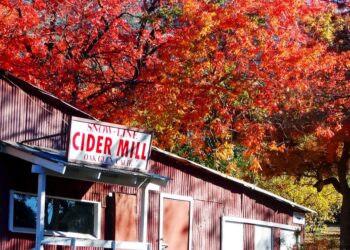 مواعيد افتتاح مصانع عصير التفاح في جنوب شرق ميشيغان