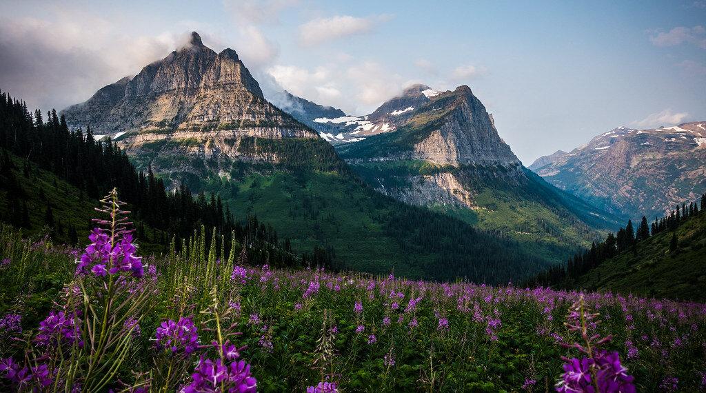 استكشف منتزه Glacier الوطني الذي يعد أكثر المنتزهات شعبية في الولايات المتحدة