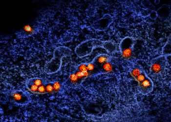 وزارة الصحة تُعلن اكتشاف فيروس “West Nile/غرب النيل” في مقاطعة Monroe