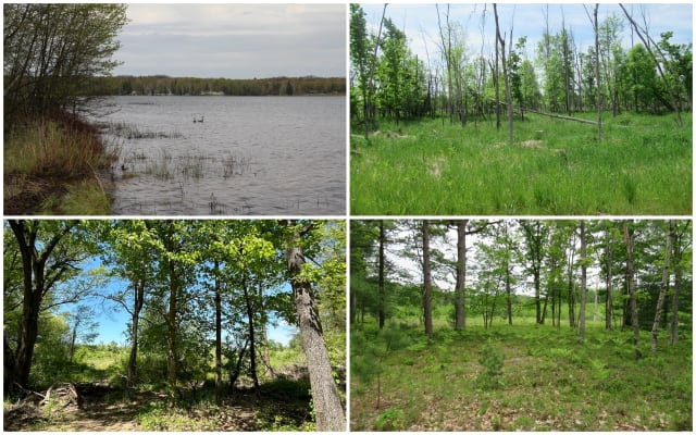 ميشيغان تعلن عن مزاد لبيع 100 قطعة أرض… إليك التفاصيل وكيفية تقديم العطاءات