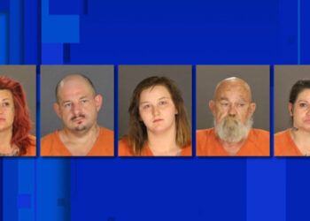 إلقاء القبض على 5 أشخاص في عملية نوعية لمكافحة المخدرات في ميشيغان