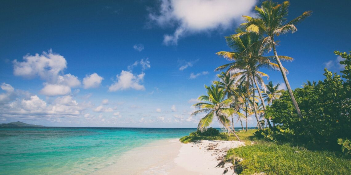 قائمة بالمسارات الجديدة التي تقدمها شركات الطيران الأمريكية إلى الوجهات المشمسة خلال الشتاء