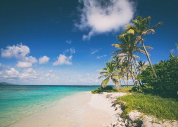 قائمة بالمسارات الجديدة التي تقدمها شركات الطيران الأمريكية إلى الوجهات المشمسة خلال الشتاء