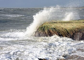 أجواء حارة وعواصف محتملة في توقعات طقس مترو ديترويت لهذا الأسبوع