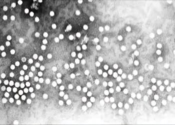 مركز السيطرة على الأمراض والوقاية منها (CDC) يُحذّر من انتشار فيروس تنفسي شديد العدوى بين الأطفال