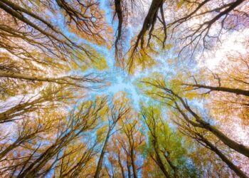 إليك أفضل 5 مدن أمريكية ينصح بزيارتها لقضاء عطلة خريفية مميزة