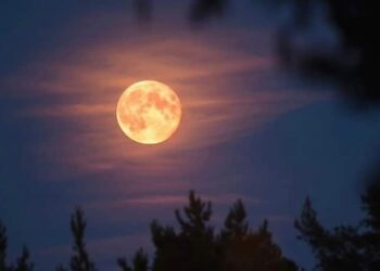 ألمع قمر عملاق لعام 2024 يضيء سماء أكتوبر/تشرين الأول في الولايات المتحدة