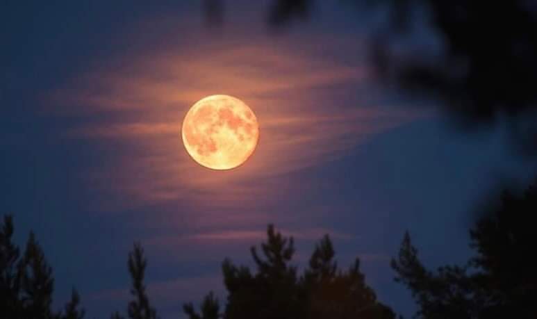ألمع قمر عملاق لعام 2024 يضيء سماء أكتوبر/تشرين الأول في الولايات المتحدة