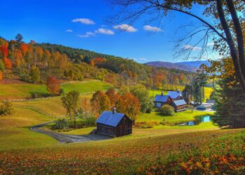 ولاية فيرمونت تتصدر قائمة الولايات الأكثر أماناً في أمريكا حسب تقرير WalletHub