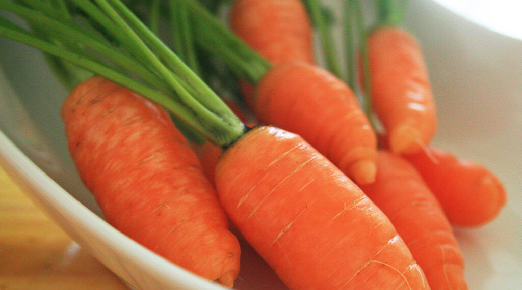 سحب الجزر المعبأ بالأكياس من شركة “Grimmway Farms” على خلفية وفاة شخص وإصابة العشرات بالإشريكية القولونية