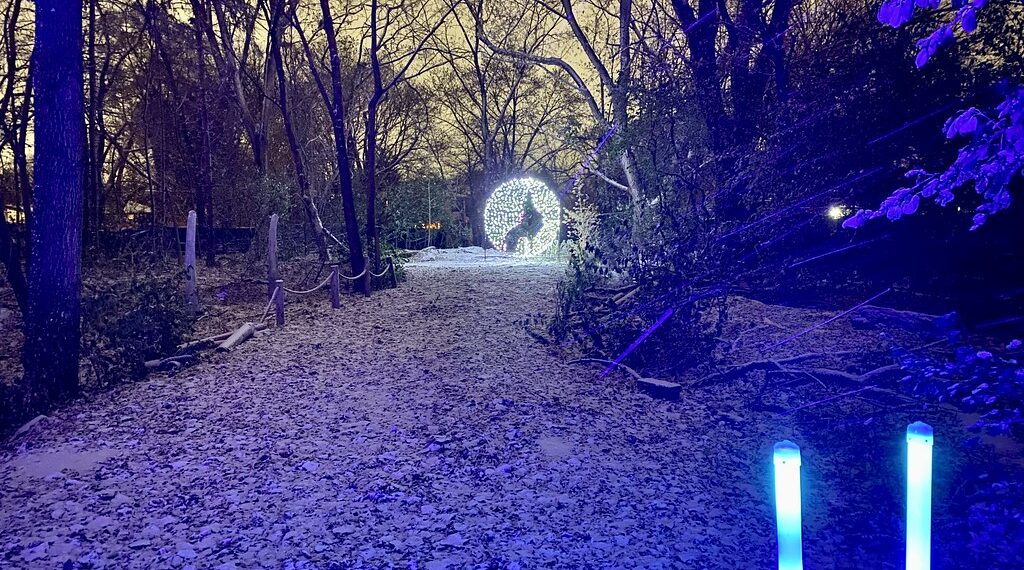 تواريخ وأوقات فعالية “Wild Lights” في حديقة حيوان ديترويت