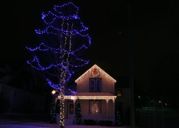 استشكف فعالية “MI Bright Lights” الساحرة خلال موسم الأعياد