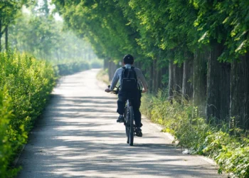 منتزه مقاطعة أونتاريو: أرض العجائب الشتوية التي تأخذك إلى عالم سحري