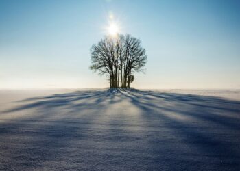 أجواء باردة في توقعات طقس أوتاوا لهذا الأسبوع