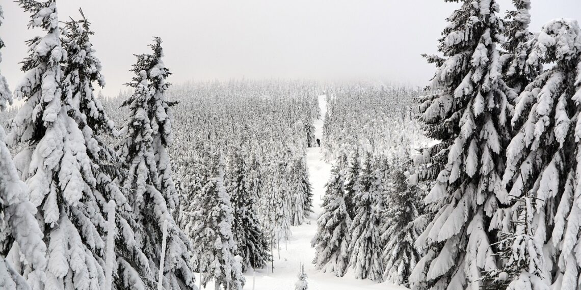 وزارة البيئة تصدر تحذيرات بشأن الطقس لجميع مناطق جنوب شرق ميشيغان