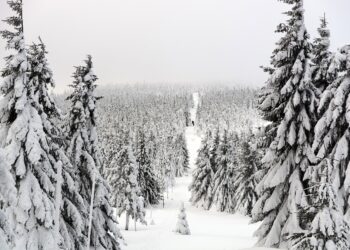 وزارة البيئة تصدر تحذيرات بشأن الطقس لجميع مناطق جنوب شرق ميشيغان